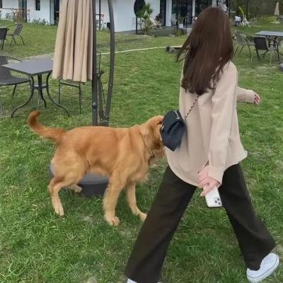 大唐重案组